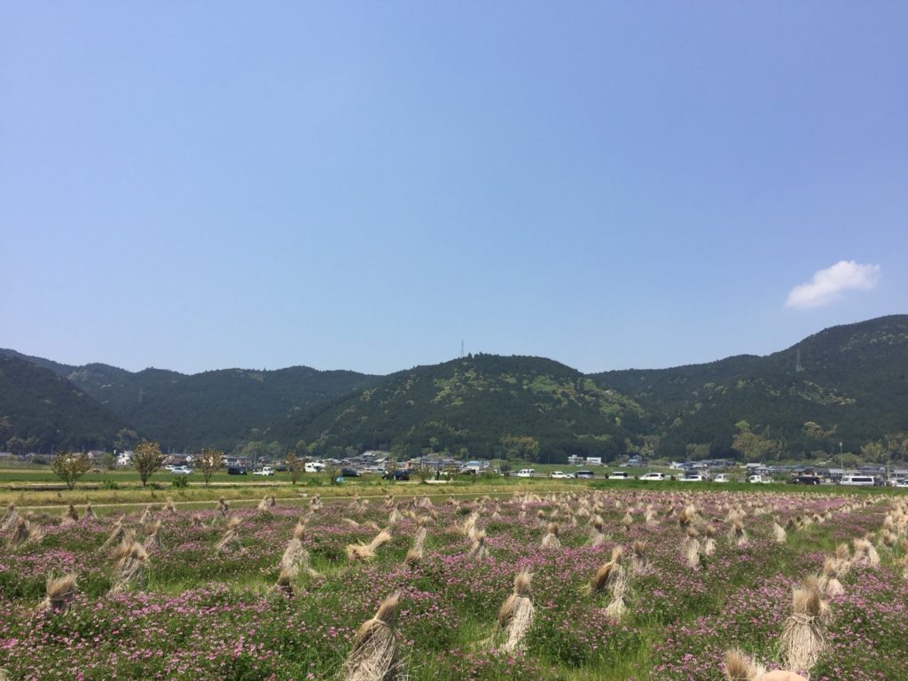 07D4A5F7-AF73-4F23-847E-49D28D86FF32