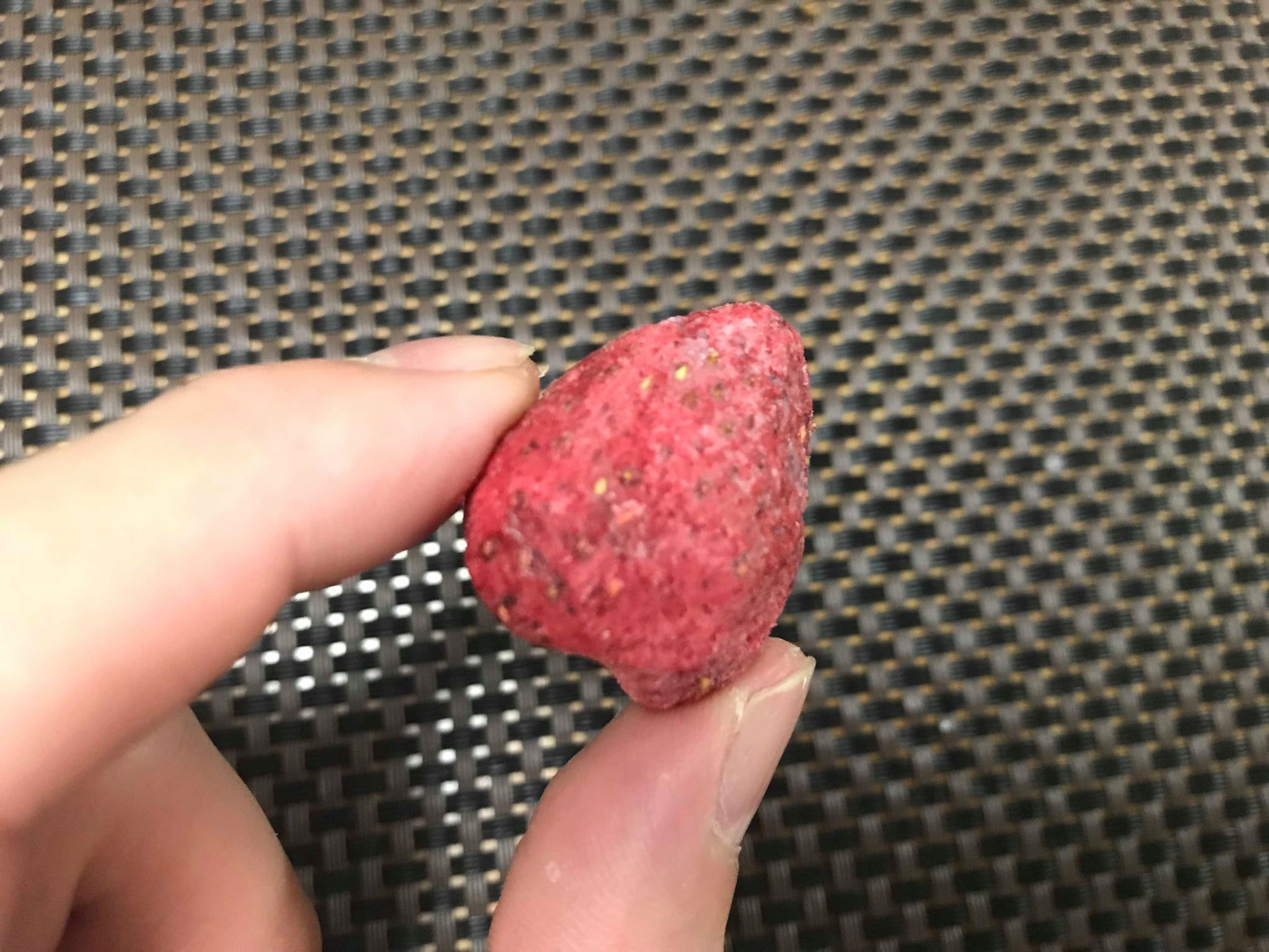 48376573_2256132727733130_6783816168751759360_n