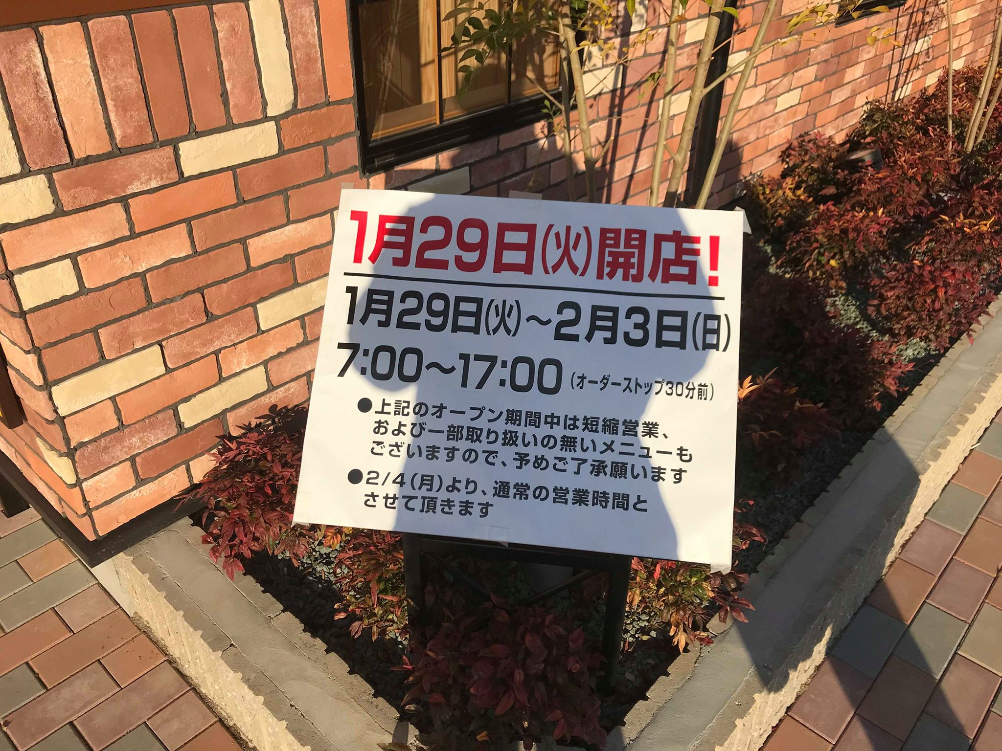 51066713_1191175144372983_950044399348219904_n