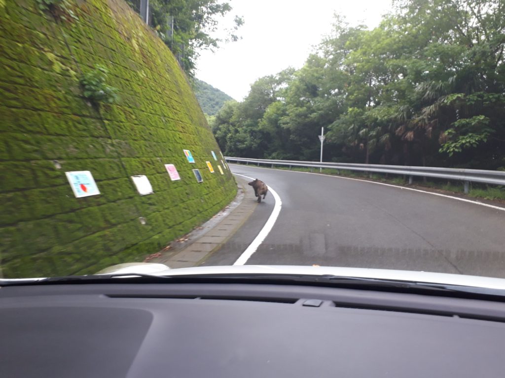 私の移住体験談 著書 誰も教えてくれない 田舎暮らしの教科書 になぞらえて考えてみました Kitonaru きとなる