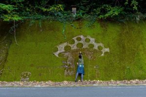 15940907_739479016209757_16580