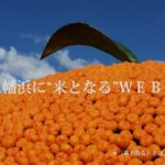 【運営レポート】KITONARU開設2ヶ月経過!今読まれている記事をまとめてご紹介します!