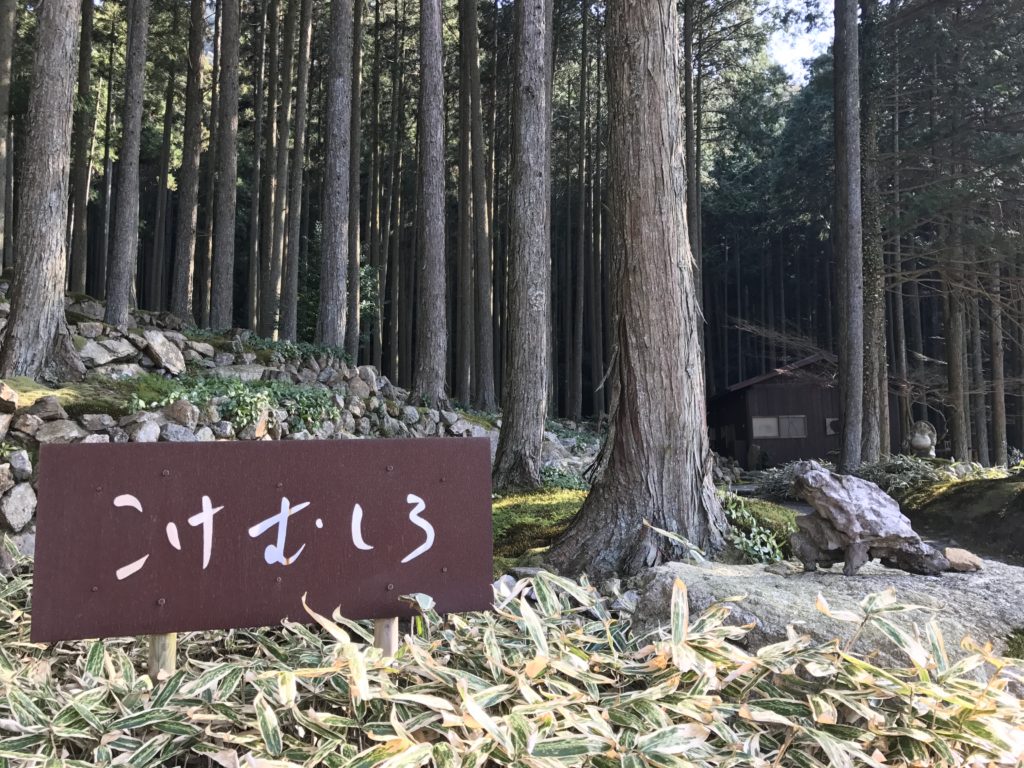 苔（こけ）に癒される！？西予市宇和町にあるギャラリー喫茶「こけむしろ」に行ってきました！