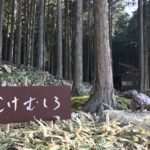苔(こけ)に癒される!?西予市宇和町にあるギャラリー喫茶「こけむしろ」に行ってきました!
