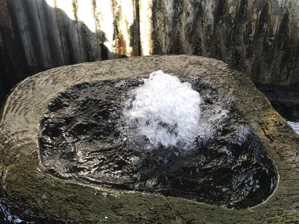 海の上に真水が湧きあがる？！弘法水と西条のうちぬきを巡ってきました！