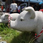 夏だ!祭りだ!西予市三瓶町の「奥地の海のカーニバル」に行ってきました!