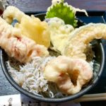 伊方町にある「しらすパーク」に1日限定10食の期間限定メニューが登場!「秋獲れしらすとスルメイカのロケッどん」を食べてきました!