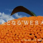 【運営レポート】KITONARU開設11ヶ月経過!今読まれている記事をまとめてご紹介します!