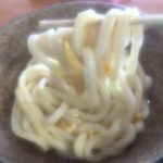 みかん県からうどんレポその①「こがね製麺所」に行ってきました!