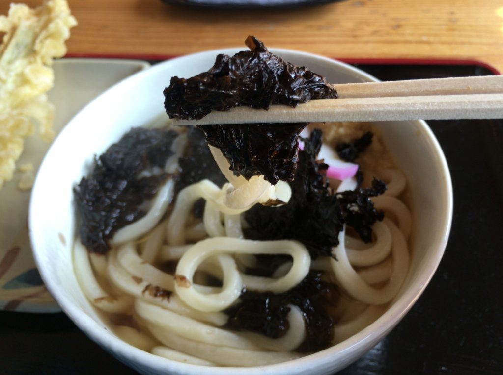 みかん県からうどんレポ②摩訶不思議！？「さくら製麺所」の「のりうどん」が美味いよ！