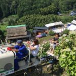 絶景広がる隠れスポット!モノレールから見る絶景のアジサイ畑を見に新宮アジサイの里に行ってみた!