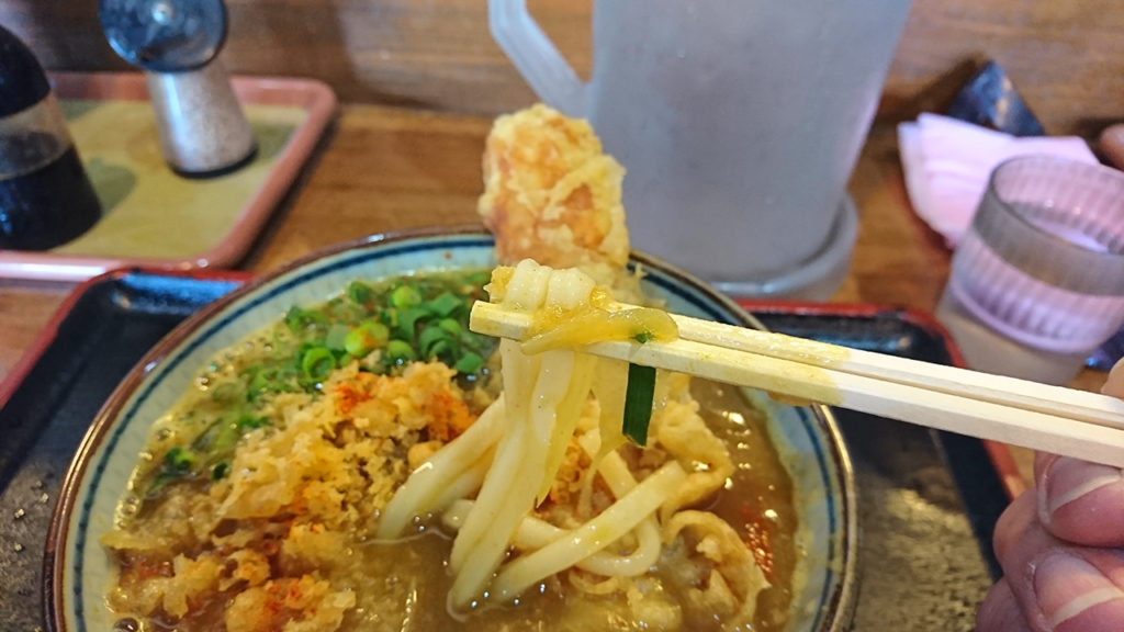 なんとかして行きたい！ 昼だけ営業の美味しいうどん屋「菜の家」で「カレーうどん」を食べてきた！