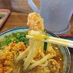 なんとかして行きたい! 昼だけ営業の美味しいうどん屋「菜の家」で「カレーうどん」を食べてきた!