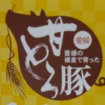 とろける甘さが絶品!愛媛のブランド豚「甘とろ豚」を使ったレトルトカレー「愛媛のうまカレー」を食べてみたよ!