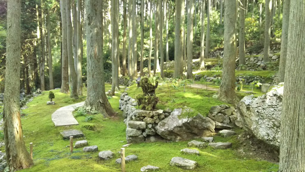 四国八十八景にも選ばれた西予市のパワースポット！自然溢れる喫茶「こけむしろ」に行ってきました！