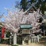 毎年4月8日開催!体験してみると楽しいぞ!お釈迦様の生誕祭 花まつり「灌仏会(かんぶつえ)」に参加してみよう!