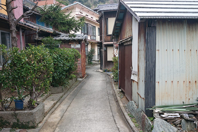 DSC_2279 (1)