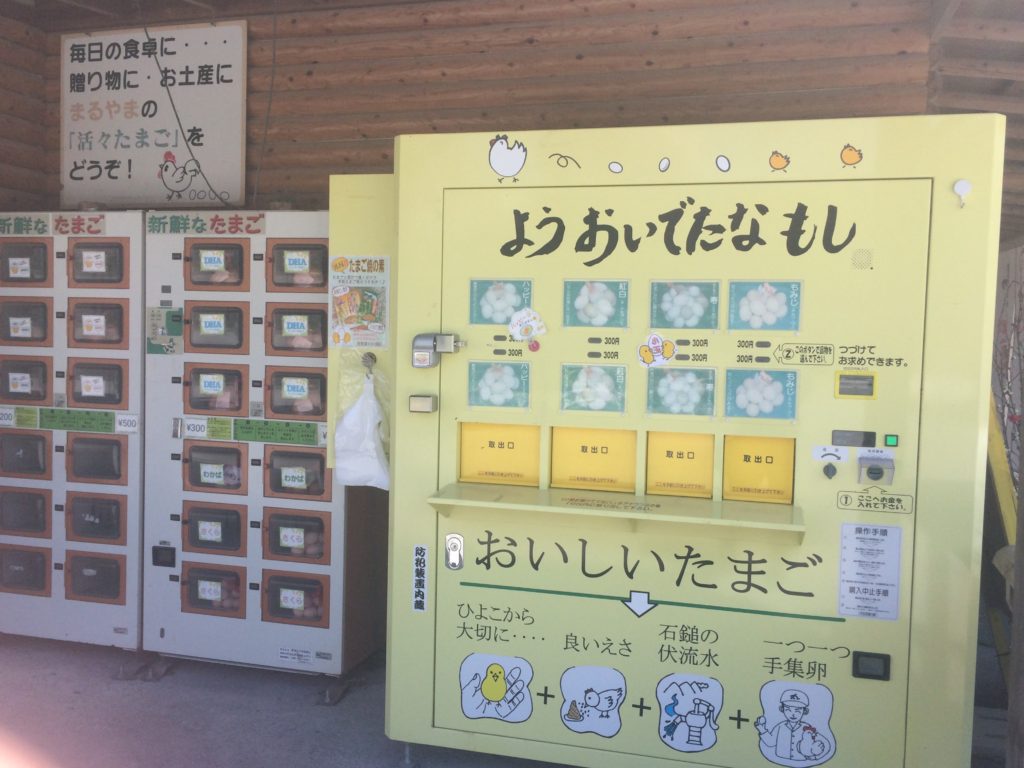 写真 2019-03-24 13 03 59