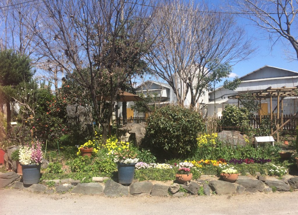 写真 2019-03-24 13 02 44