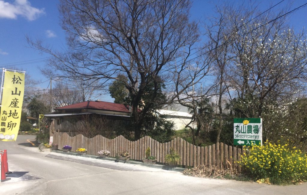 写真 2019-03-24 13 04 36