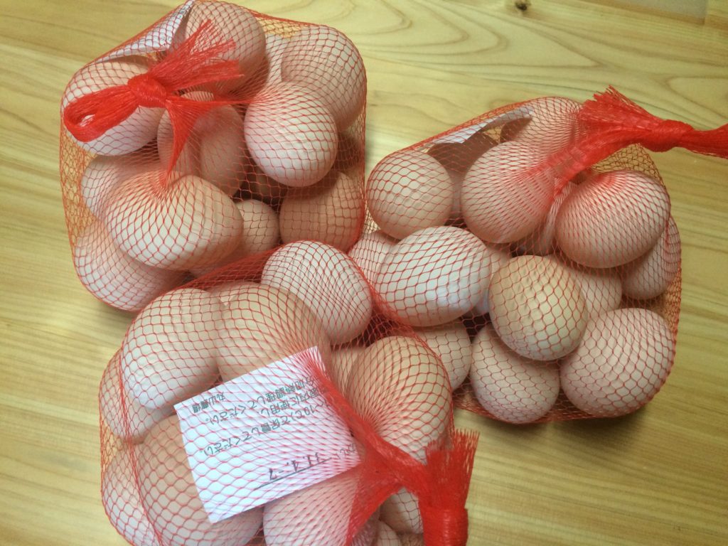 写真 2019-03-24 13 43 27