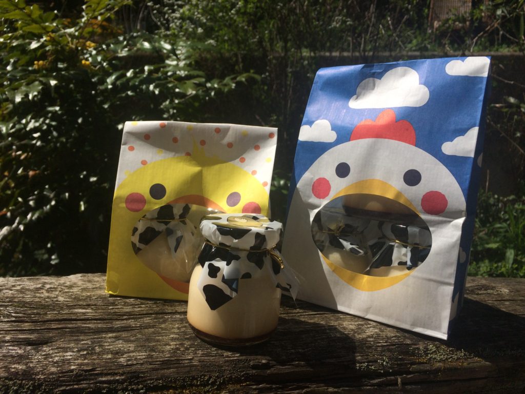 写真 2019-03-24 13 37 54