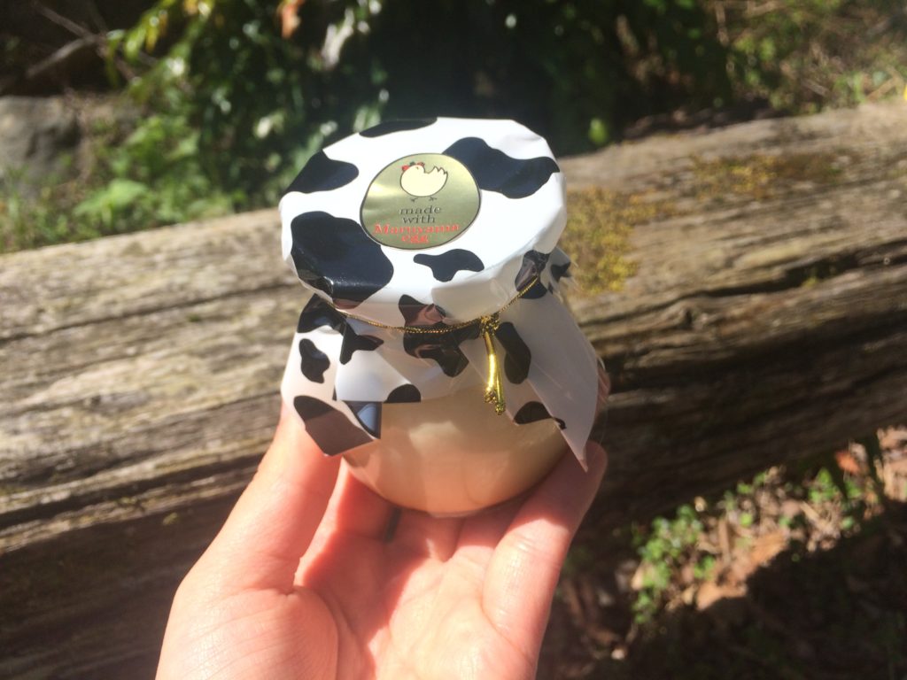 写真 2019-03-24 13 38 18