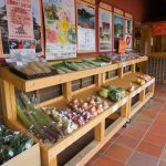肱南エリア散策の拠点にピッタリ!大洲の物産が集まる「大洲まちの駅あさもや」を覗いてみました!