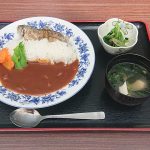 新しい時代に”新しいダムカレー”が登場! 四国中央市の「富郷ダムカレー」をご紹介します!