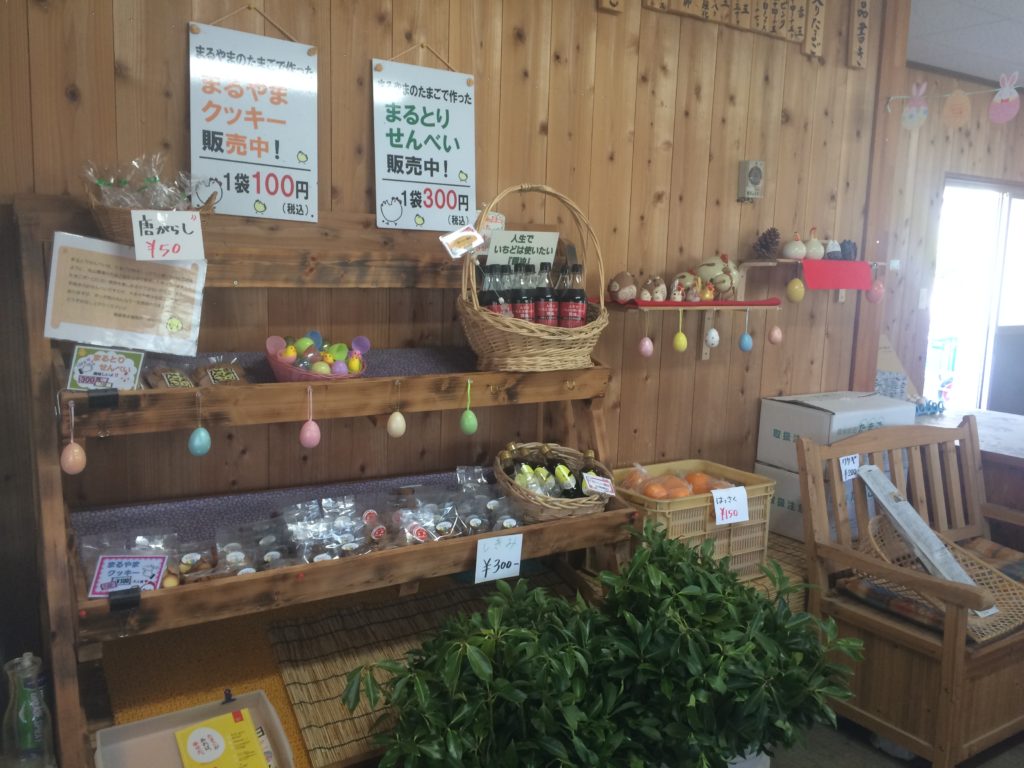 写真 2019-03-24 13 08 11