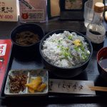リピートしたくなる!伊方町川之浜「しらすパーク」にある「釜揚げ・生しらす2色丼」を今日も食べてきたよ!