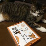 愛媛土産にもオススメ!猫のにくきゅうチョコクランチ「吾輩もねこってる」を食べてみたよ!