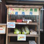 日替わりの野菜が買える!無人販売「フォーチュン農園直売所」に行ってきたよ!(前編)