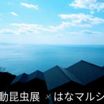 【7/20・21開催】伊方町瀬戸アグリトピアで開催される「移動昆虫展」&「はなマルシェ」についてご紹介します!