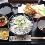 佐田岬名物!伊方町にある「しらす食堂」で「釜揚げ&生しらす」を堪能してきました!
