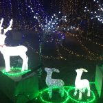 インスタ映え間違いなし！四国最西端の伊方町のイルミネーションを見てきたよ！