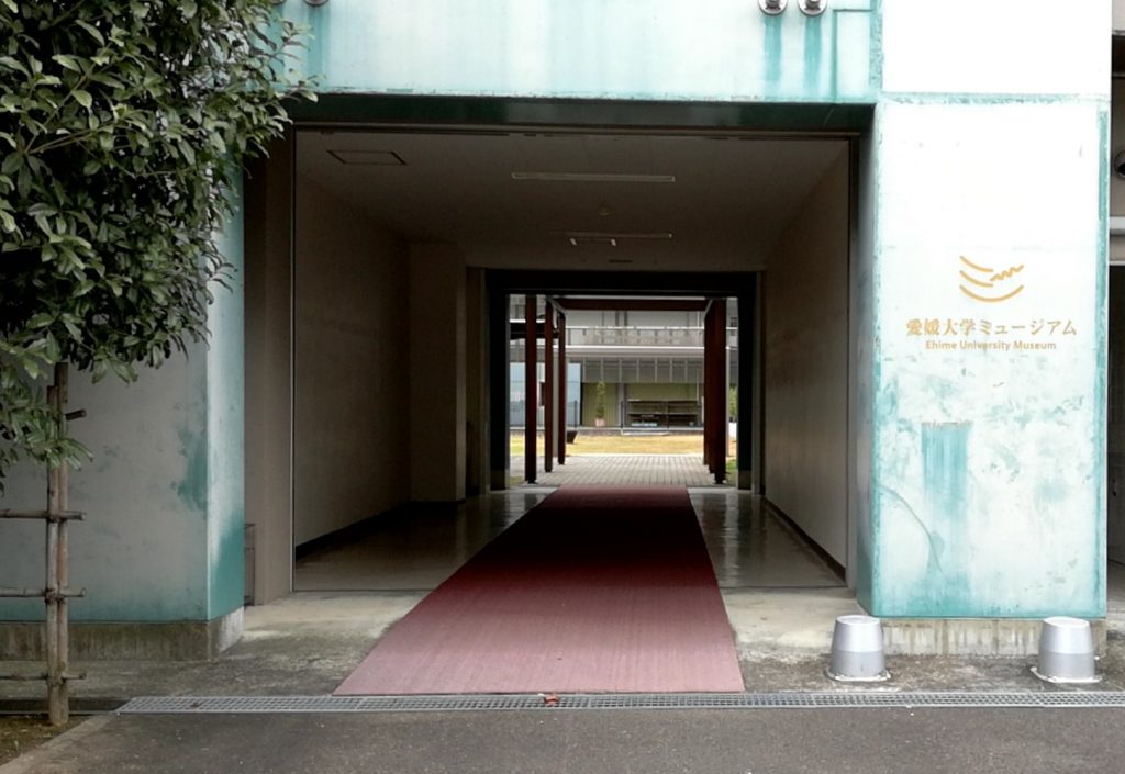 愛媛大学ミュージアムで愛媛の学問の世界を覗く！科学、生物から歴史、文化まで