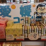 徹底検証!愛媛のお土産はどこまで買えるのか?【徳島県横断編】
