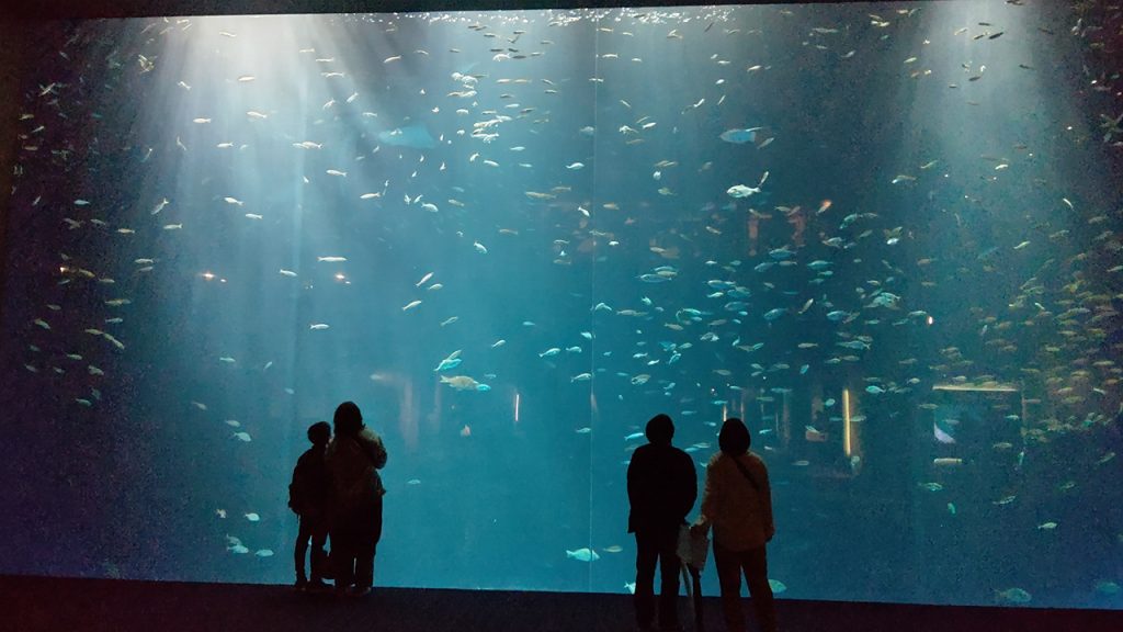 超最速レポート！実は愛媛も知れる「四国水景」がコンセプトの「四国水族館」に行ってきたよ！