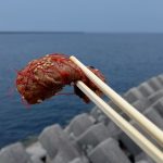 四国中央市の焼肉店「風来坊」がお弁当を開始したので早速食べたらとんでもないレベルだった!!
