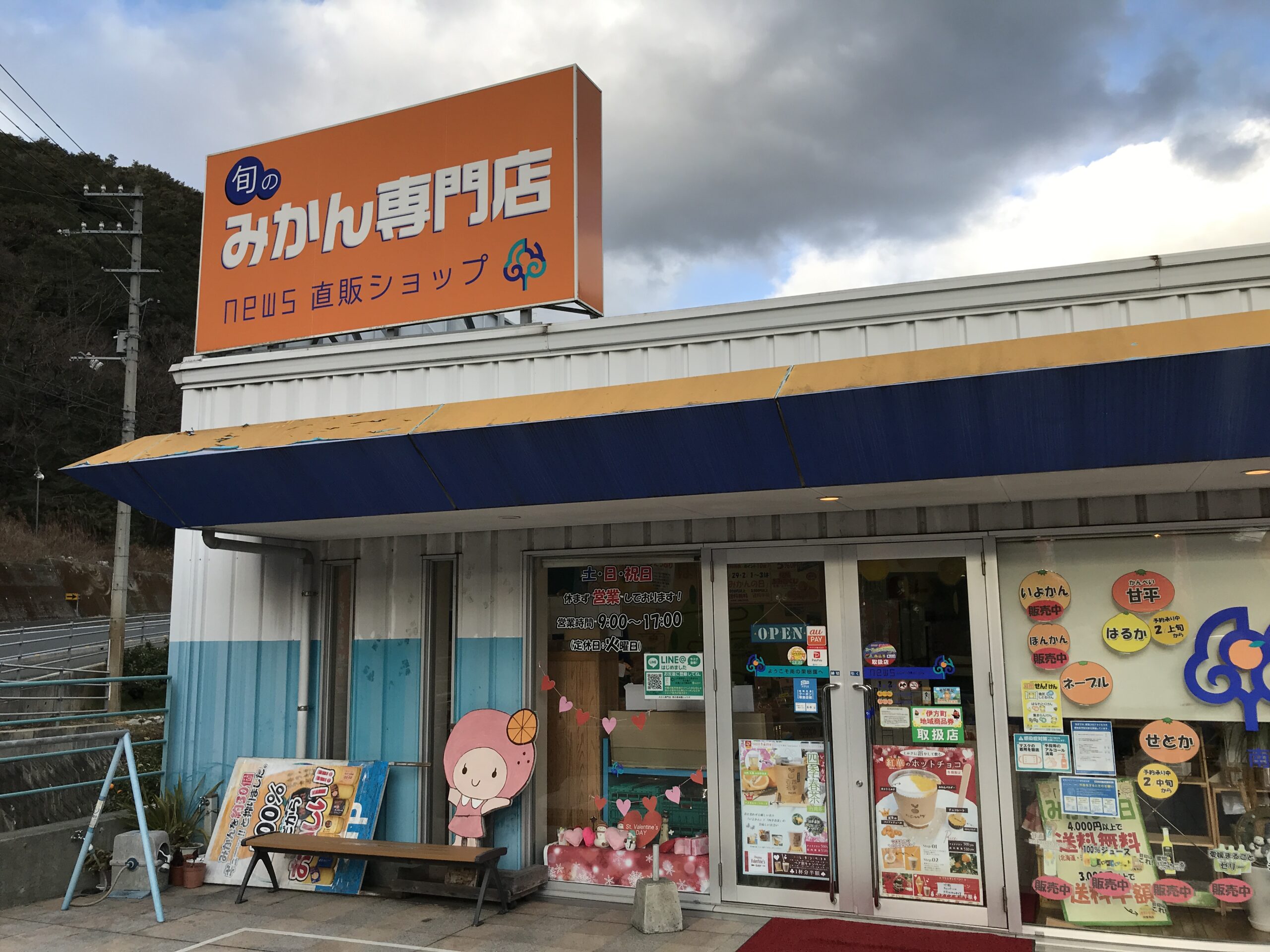 柑橘を堪能するならこのお店！伊方町の「みかん専門店南の果樹園ニュウズ」に行ってきました！