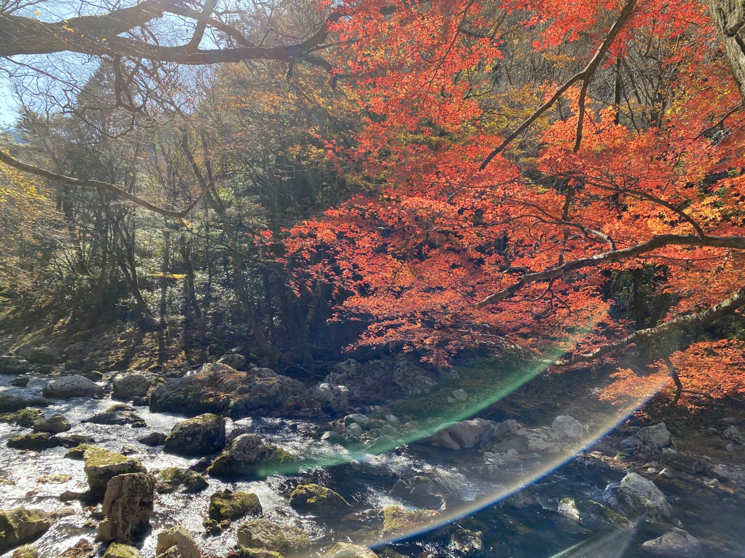 四季折々の自然美を感じる！内子町・小田深山にいやしのピクニックに出かけよう！ | KITONARU（きとなる）