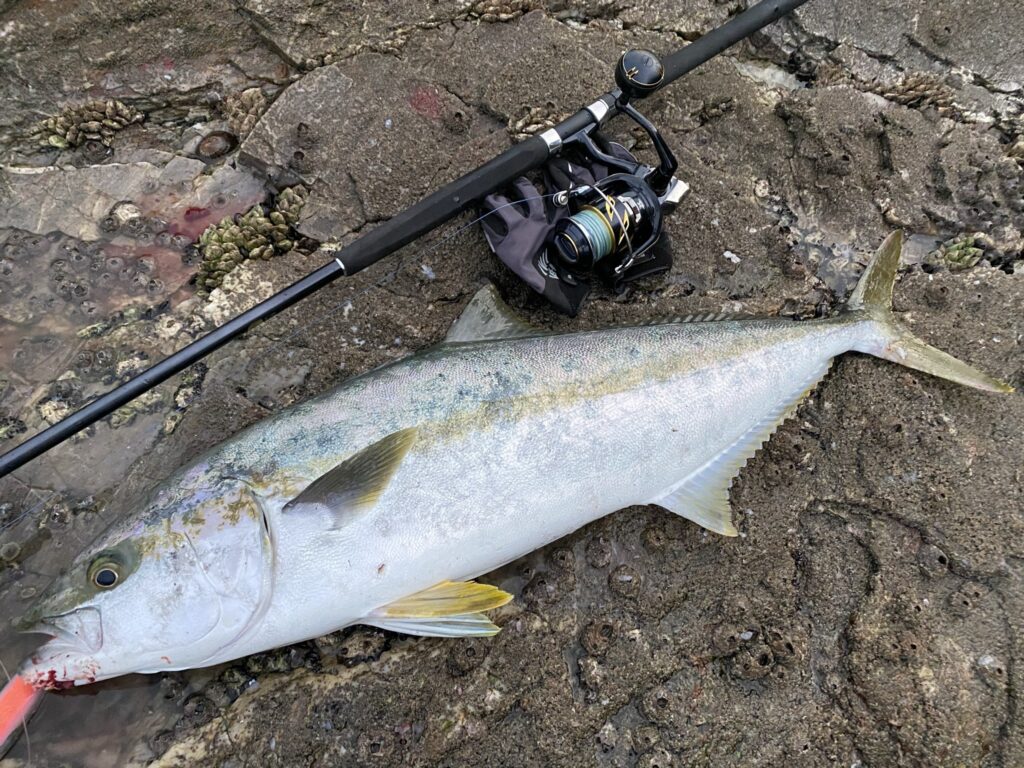 釣り人の聖地！釣りの魅力と愛媛県南予地域の豊かな海を紹介します！