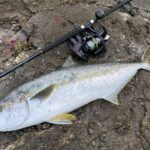 釣り人の聖地!釣りの魅力と愛媛県南予地域の豊かな海を紹介します!