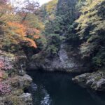 今が見頃!内子町の「小田深山渓谷」の紅葉を見に行こう!