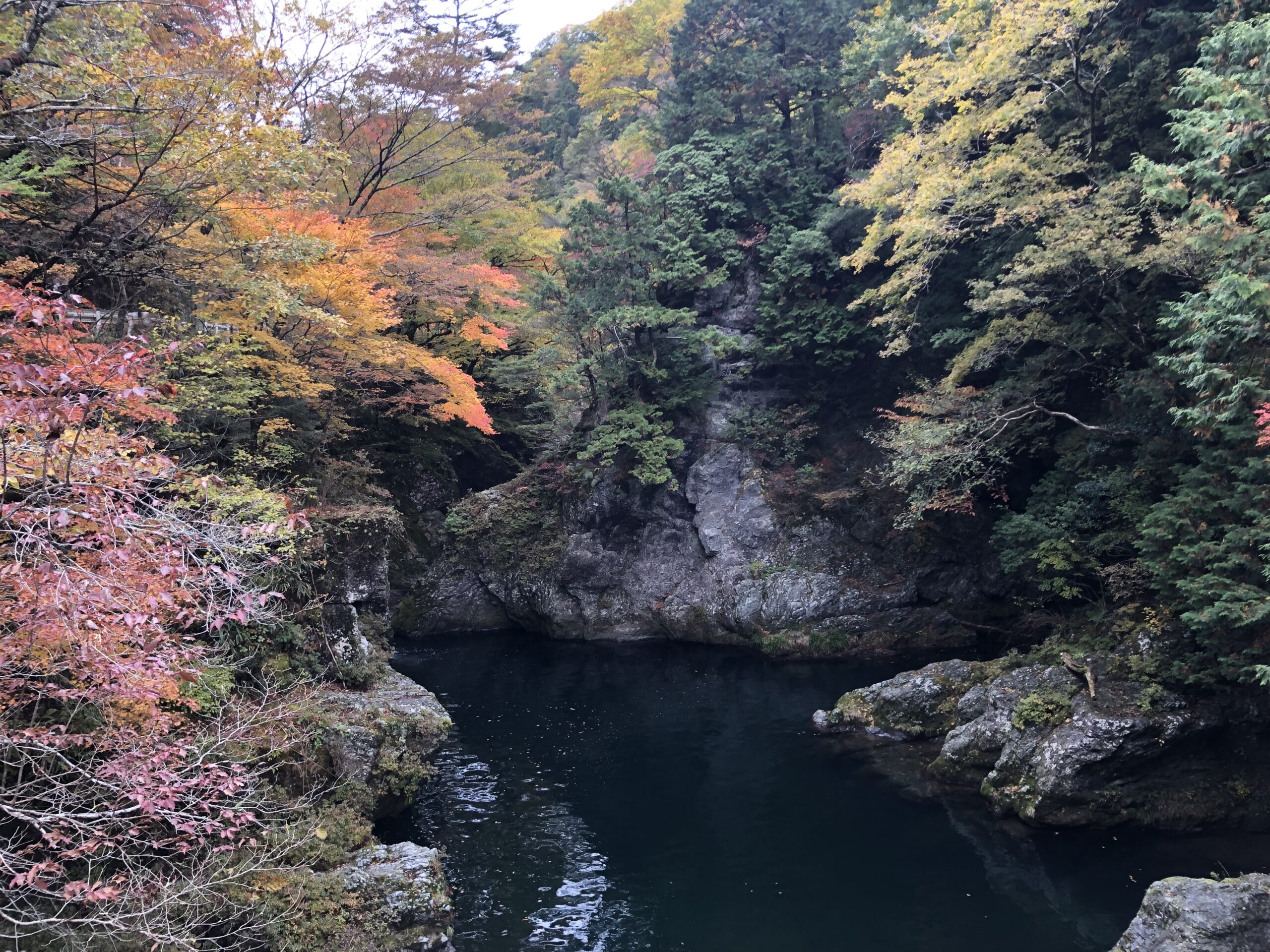 今が見頃！内子町の「小田深山渓谷」の紅葉を見に行こう！