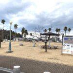 やっぱりアウトドア!新居浜市にある「マリンパーク新居浜」で子どもと遊ぼう!