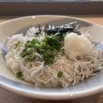 宇和海を望みながら海の幸を堪能!西予市明浜町にある観光施設「あけはまーれ」で「あけはましらす丼」を食べてきたよ!