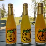 柑橘ジュース飲み比べ!道の駅「はなはな」で買った「清見」「はるみ」「天草」をレビューしてみた!