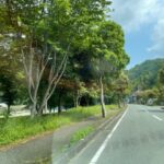 天神産紙工場とまことやへ!大洲・内子の新緑をあじわうドライブコース2選!